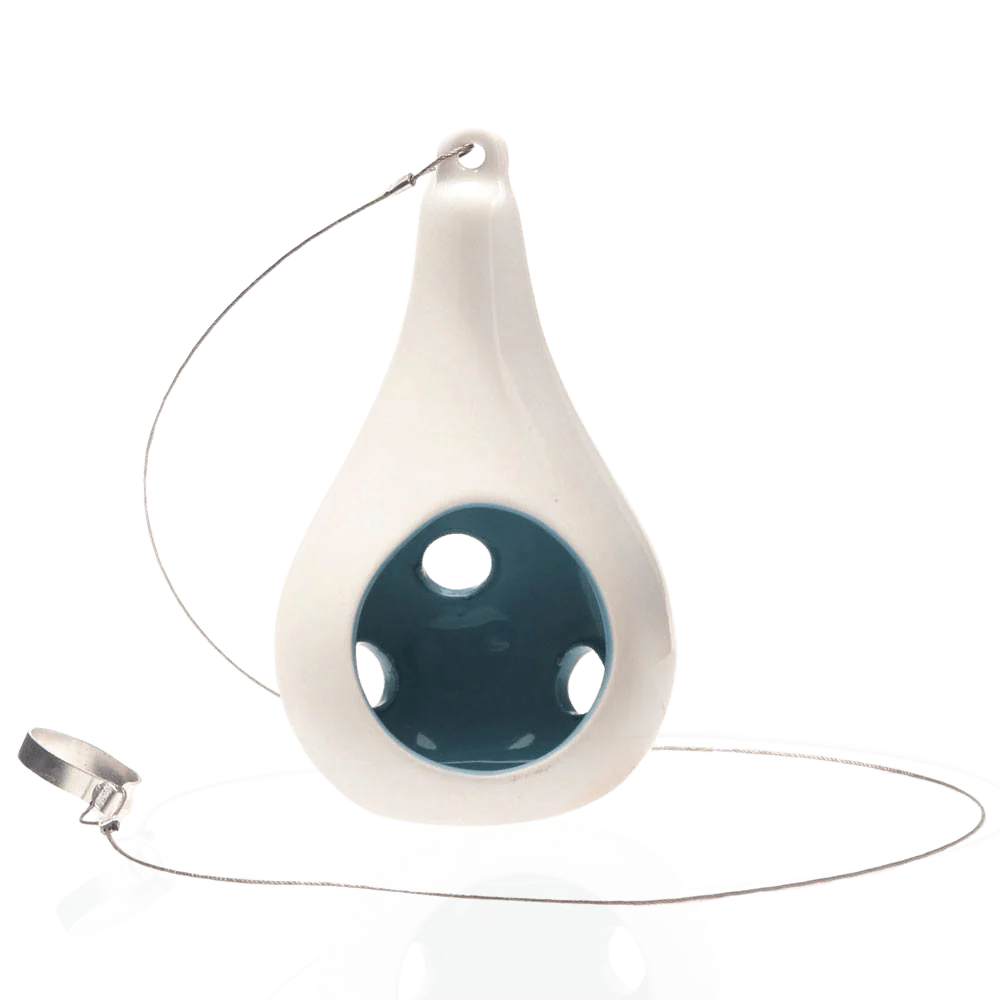 Pod Ceramic Hanging Air Plant Holder