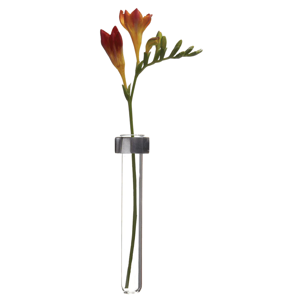 Alu Magnetic Flower Test Tube Holder