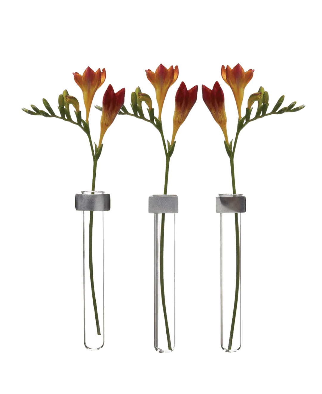 Alu Magnetic Flower Test Tube Holder - Image 2