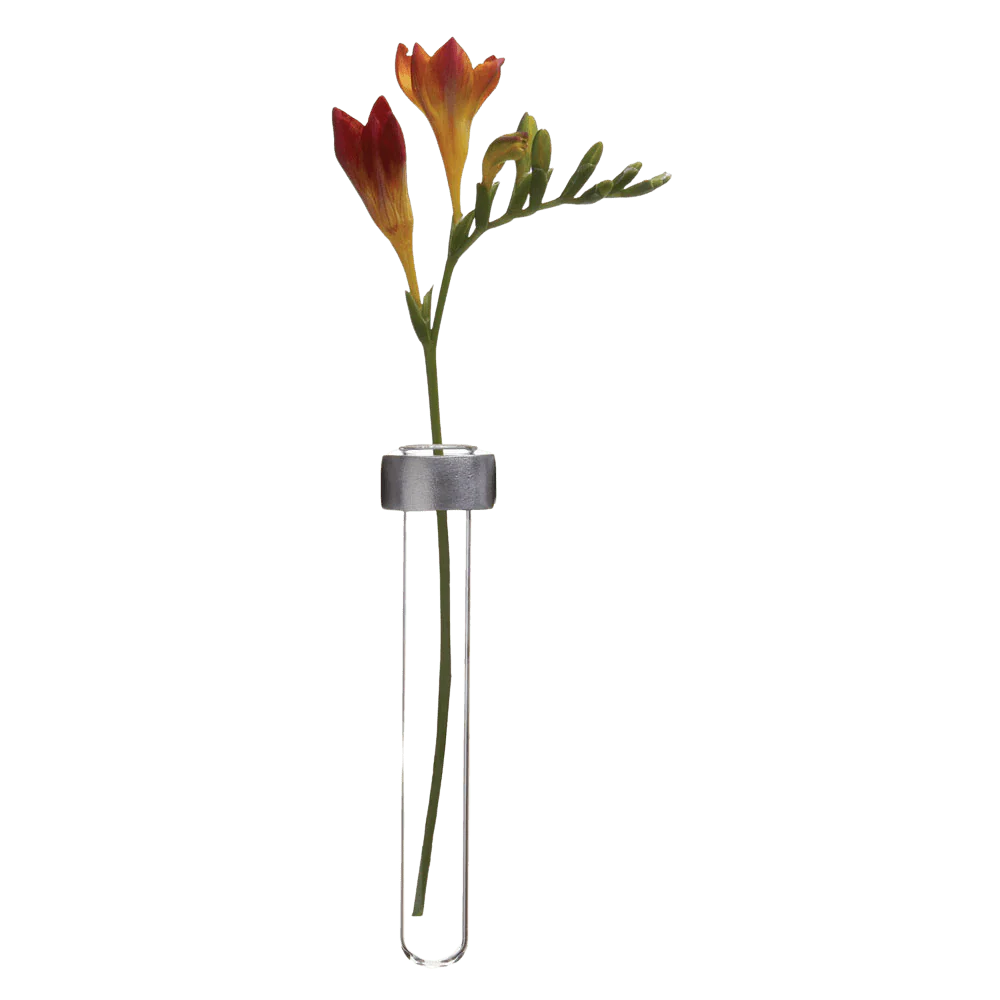 Alu Magnetic Flower Test Tube Holder - Image 3