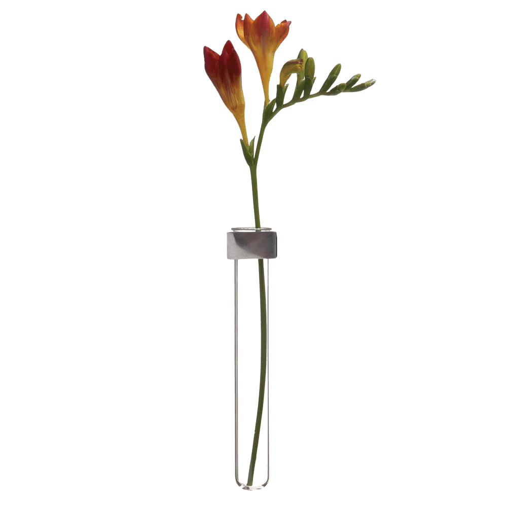 Alu Magnetic Flower Test Tube Holder - Image 4