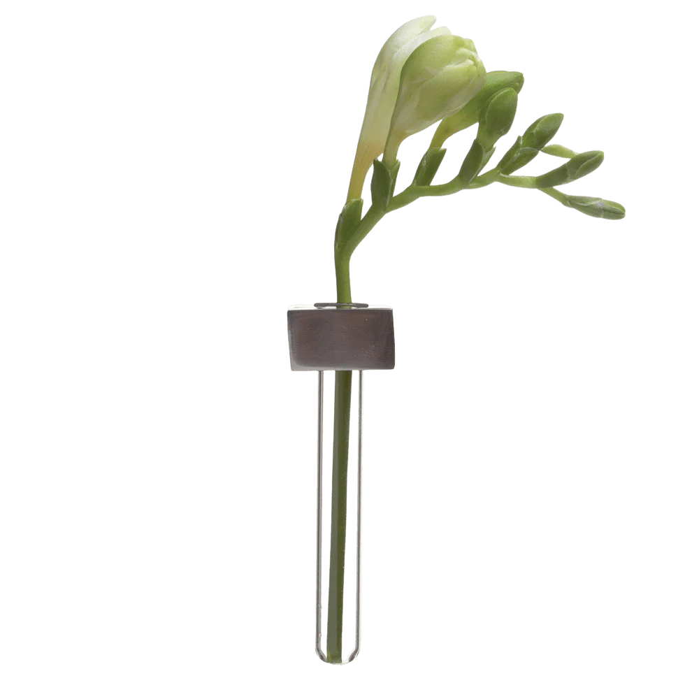 Alu Magnetic Flower Test Tube Holder - Image 6