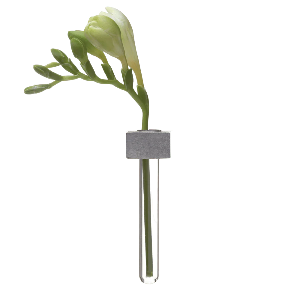 Alu Magnetic Flower Test Tube Holder - Image 7
