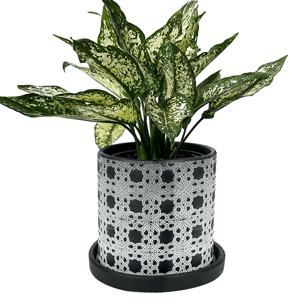 Balter Ceramic Pot And Saucer Set | 3.5 inch - Image 16