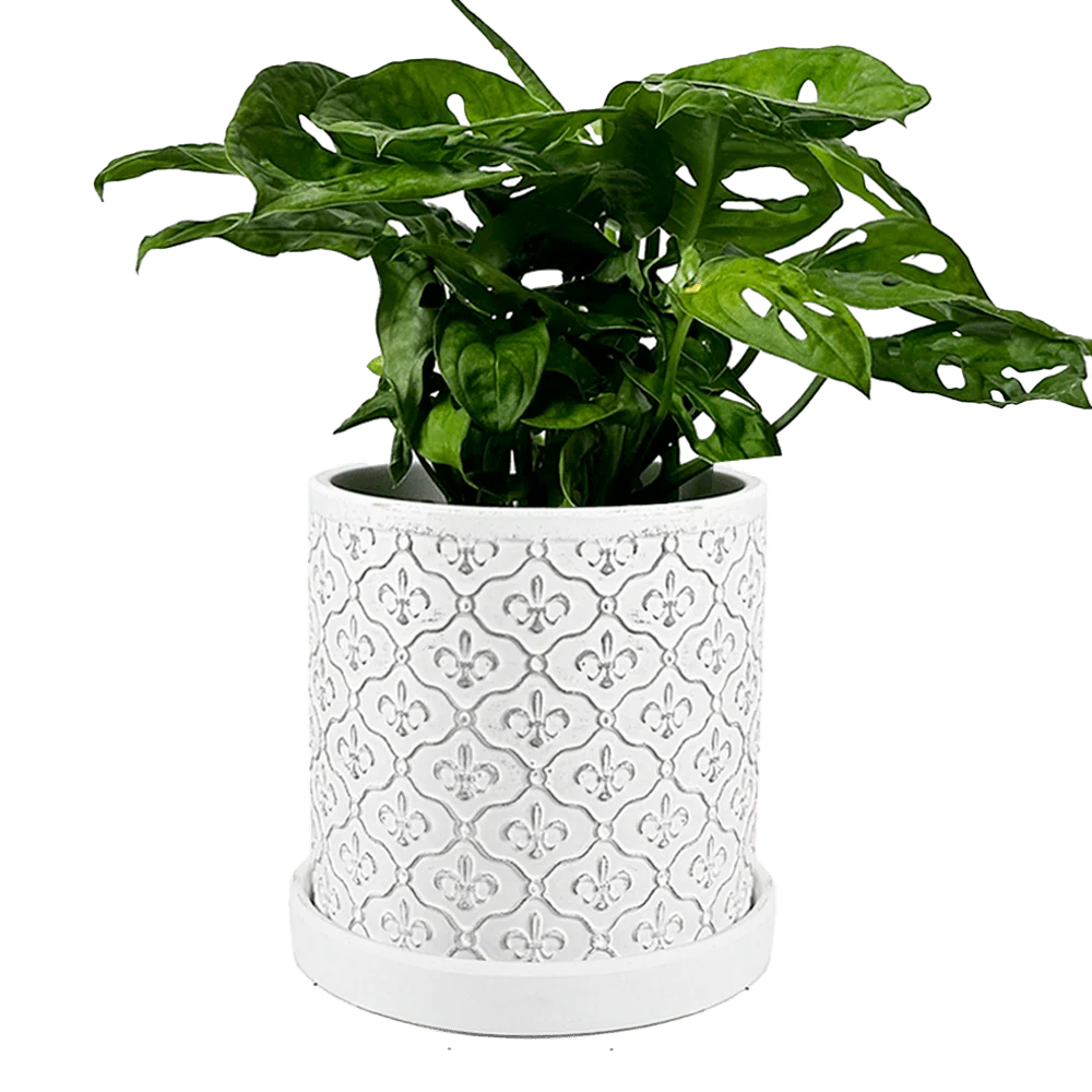 Balter Ceramic Pot And Saucer Set | 3.5 inch - Image 21
