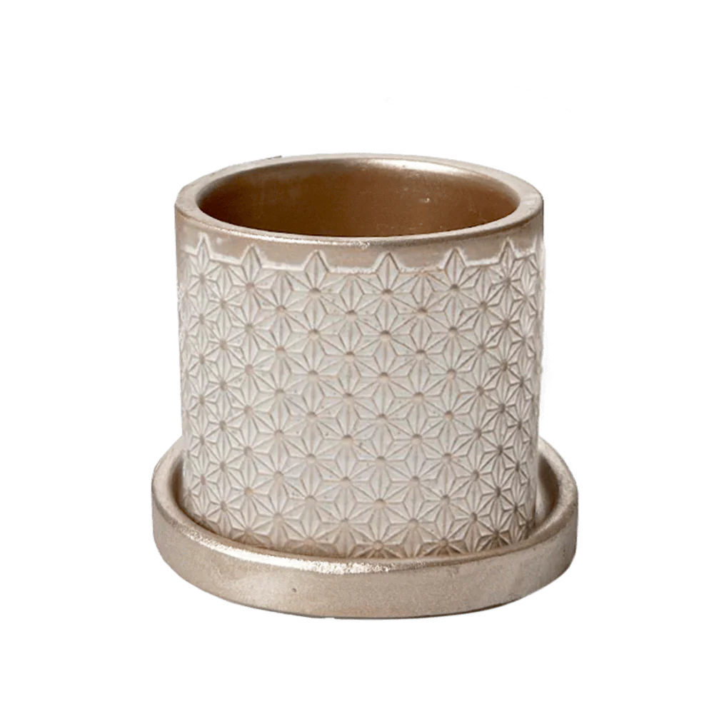 Balter Ceramic Pot And Saucer Set | 3.5 inch - Image 6
