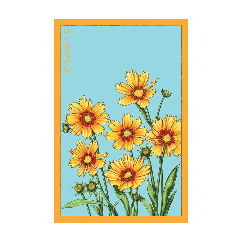 Big Flower Coreopsis Flower Seeds Packet
