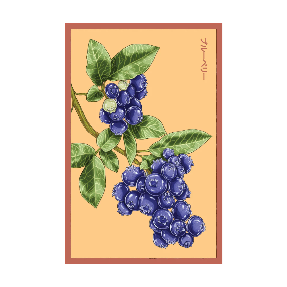 Blueberry Flower Seeds Packet