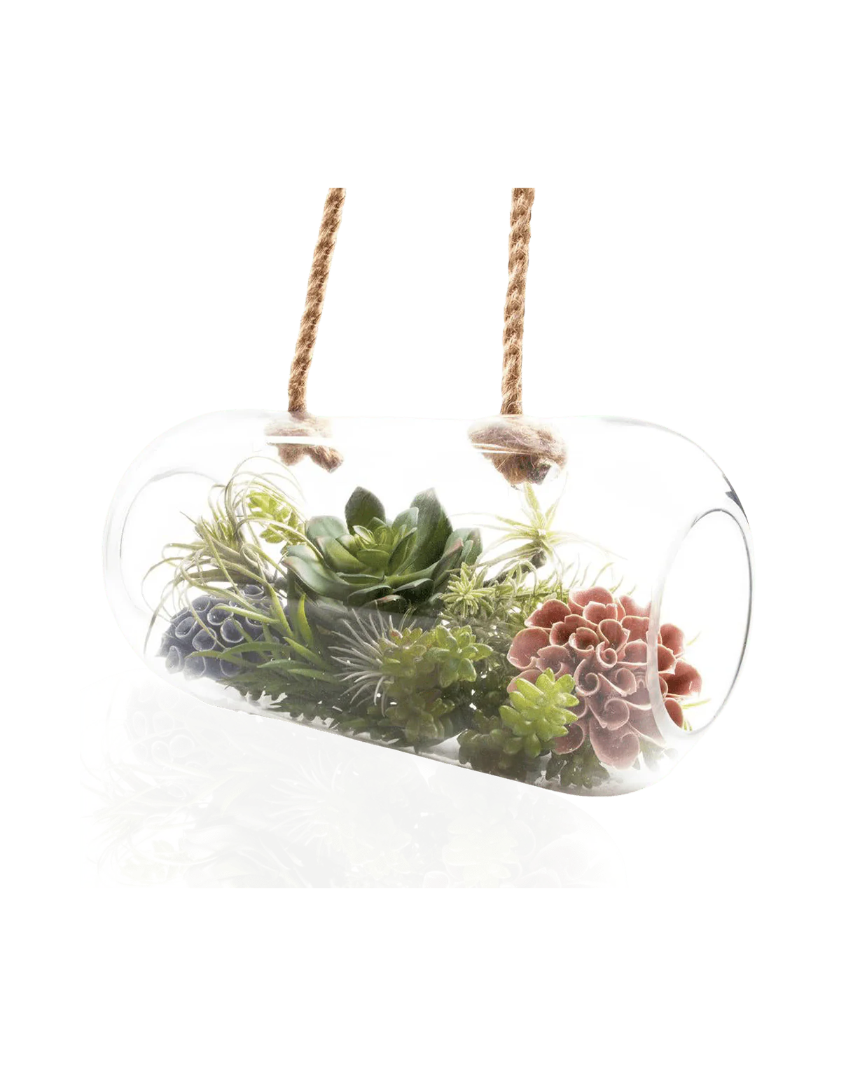 Bolsk Glass Large Hanging Terrarium - Image 3