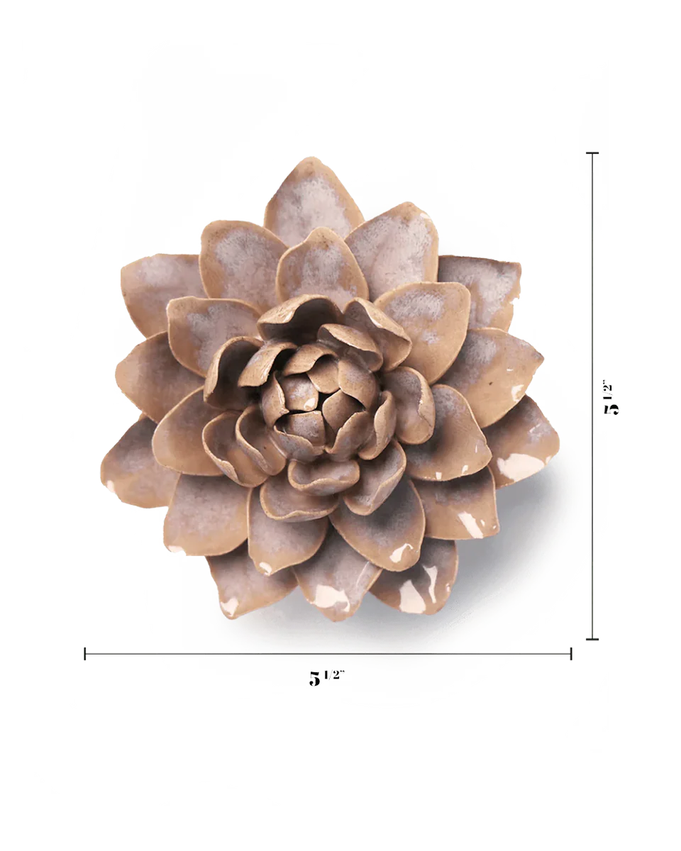 Pink Sand Starbrite Water Lily - Image 3