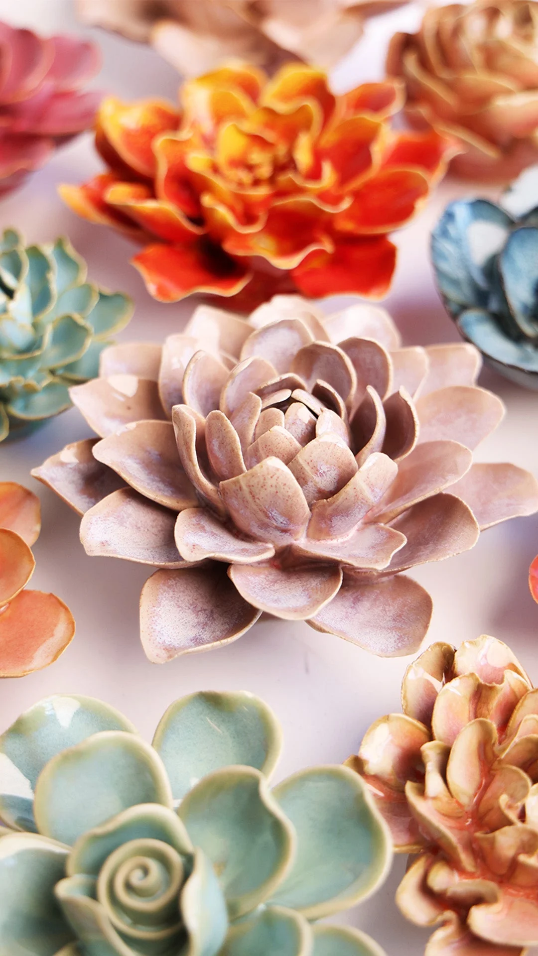 Pink Sand Starbrite Water Lily - Image 4
