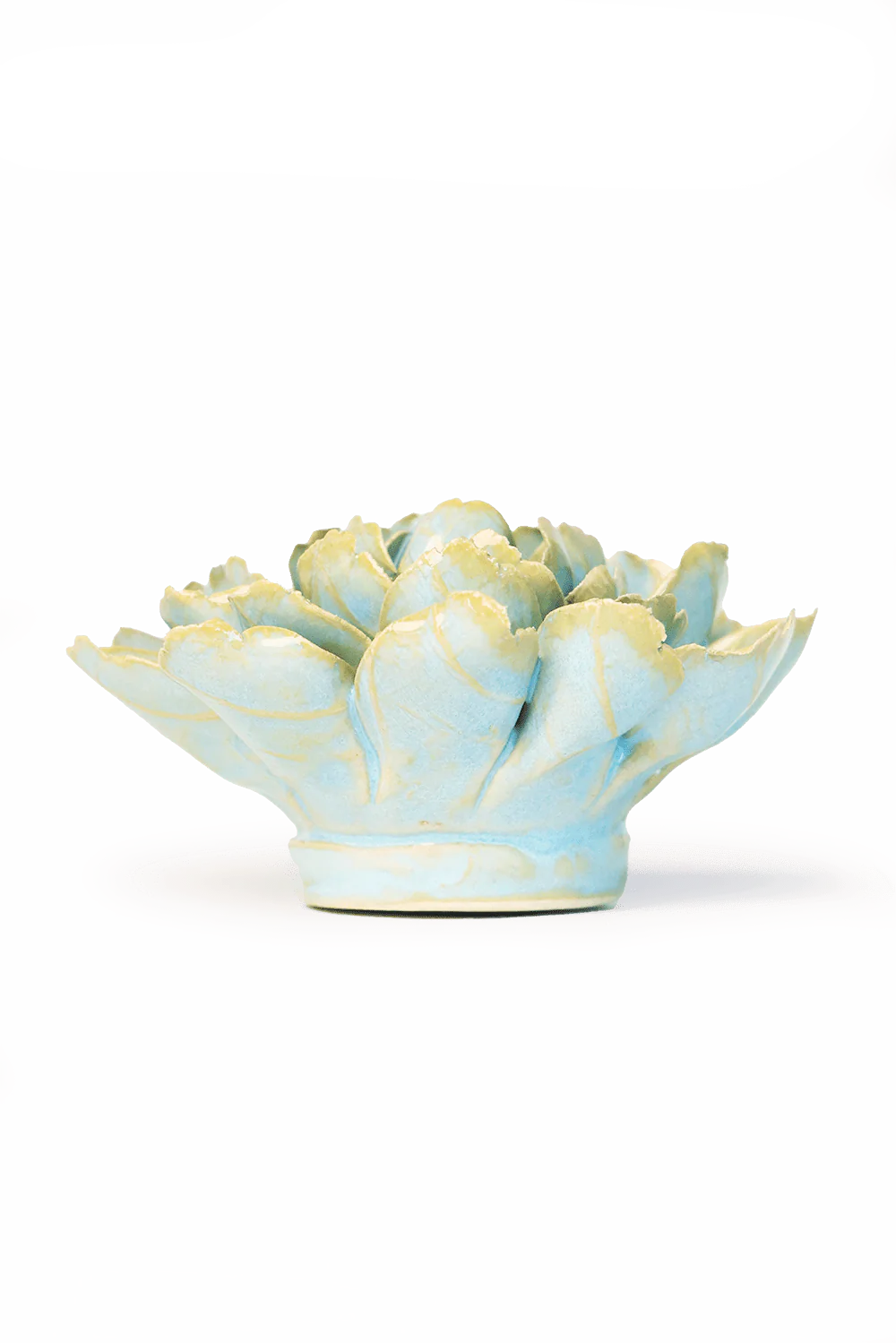 Robin's Egg Blue French Marigold - Image 2