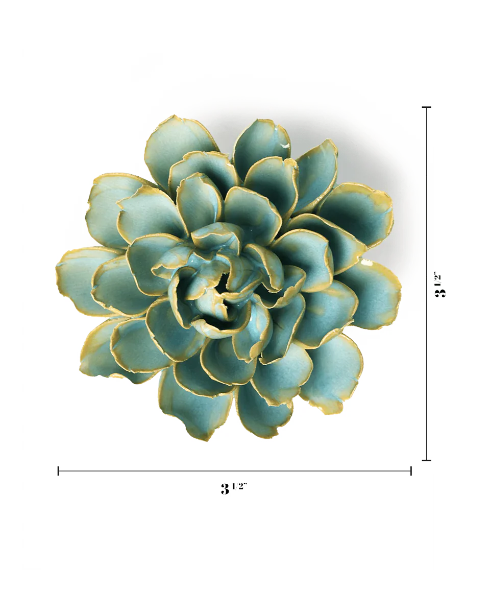 Robin's Egg Blue French Marigold - Image 3