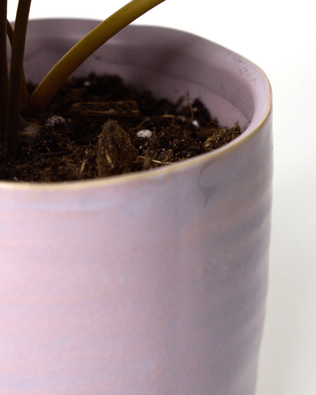 Channa Ceramic Planter Pot | 5.5 inch - Image 12