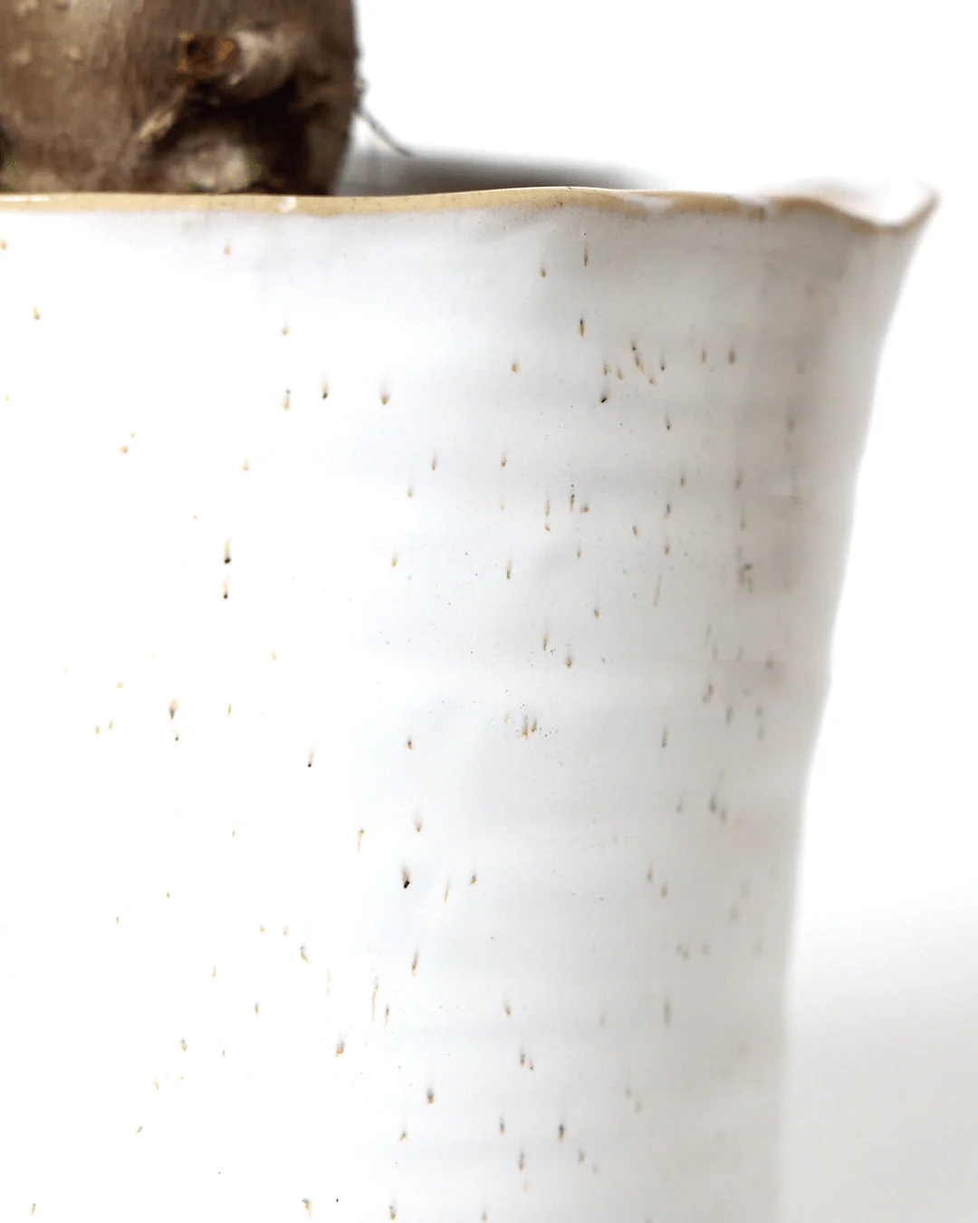Channa Ceramic Planter Pot | 5.5 inch - Image 5