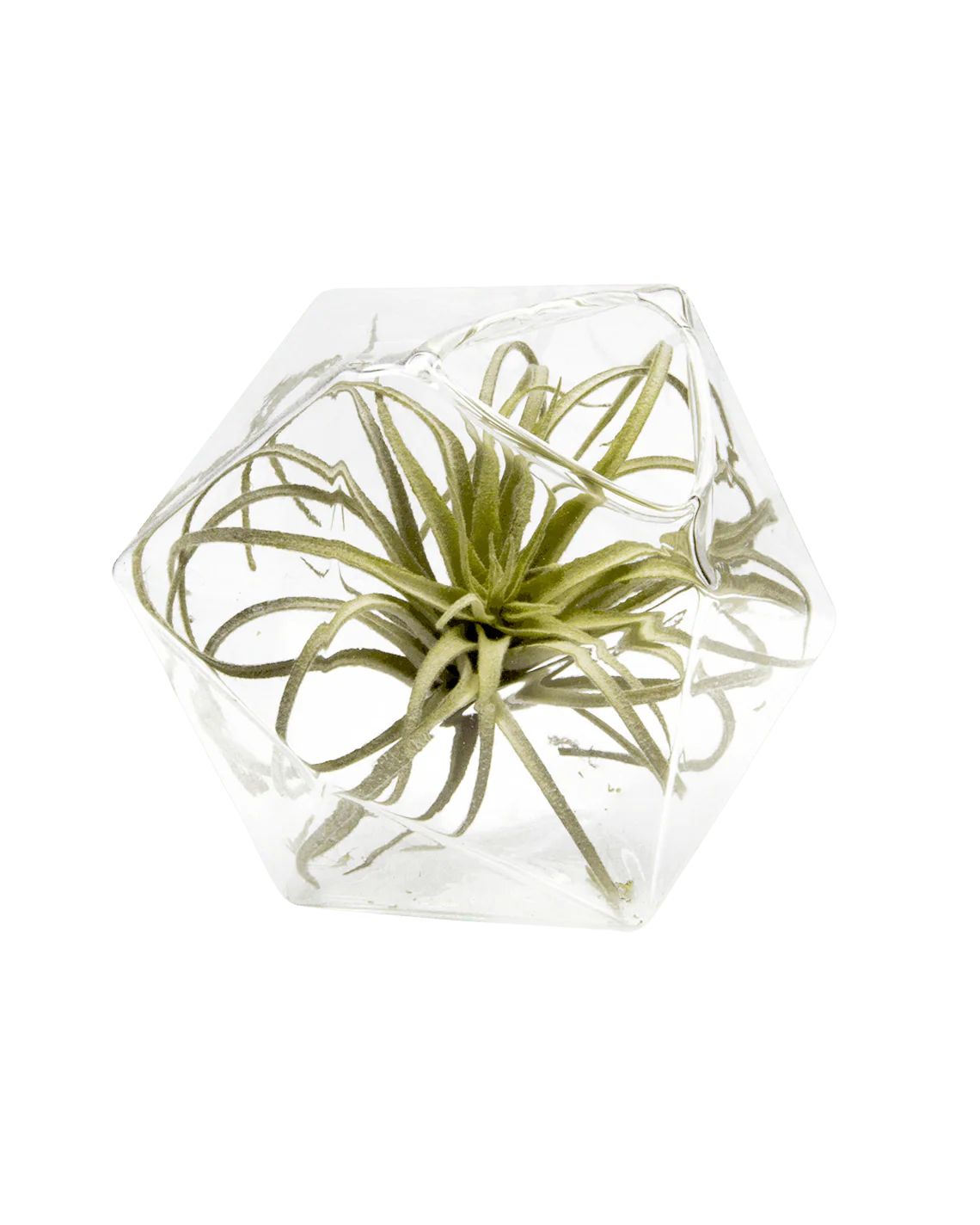Crystal Glass Modern Clear Flower Vase
