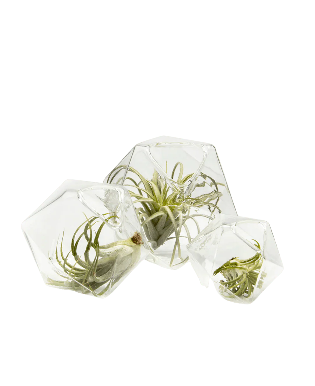Crystal Glass Modern Clear Flower Vase - Image 2