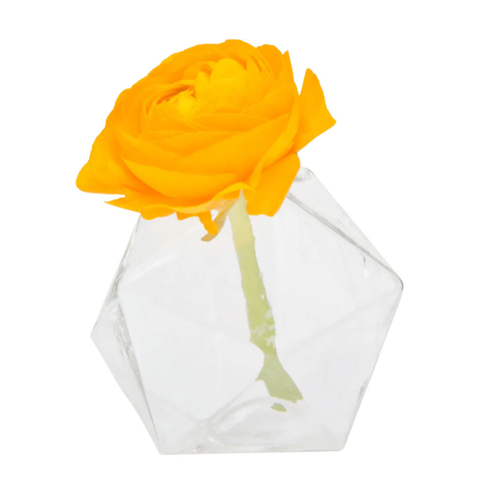 Crystal Glass Modern Clear Flower Vase - Image 4