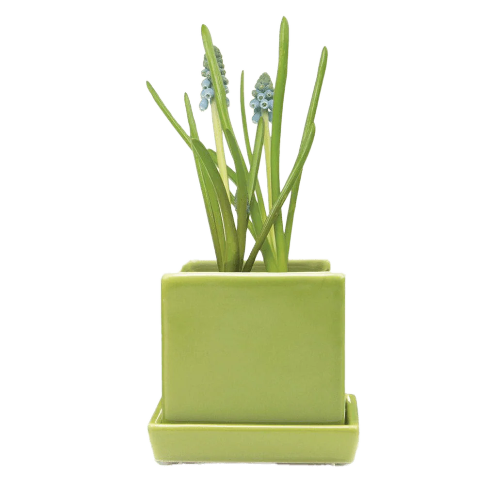 Cube & Saucer Ceramic Pot With Drainage Hole - Image 12