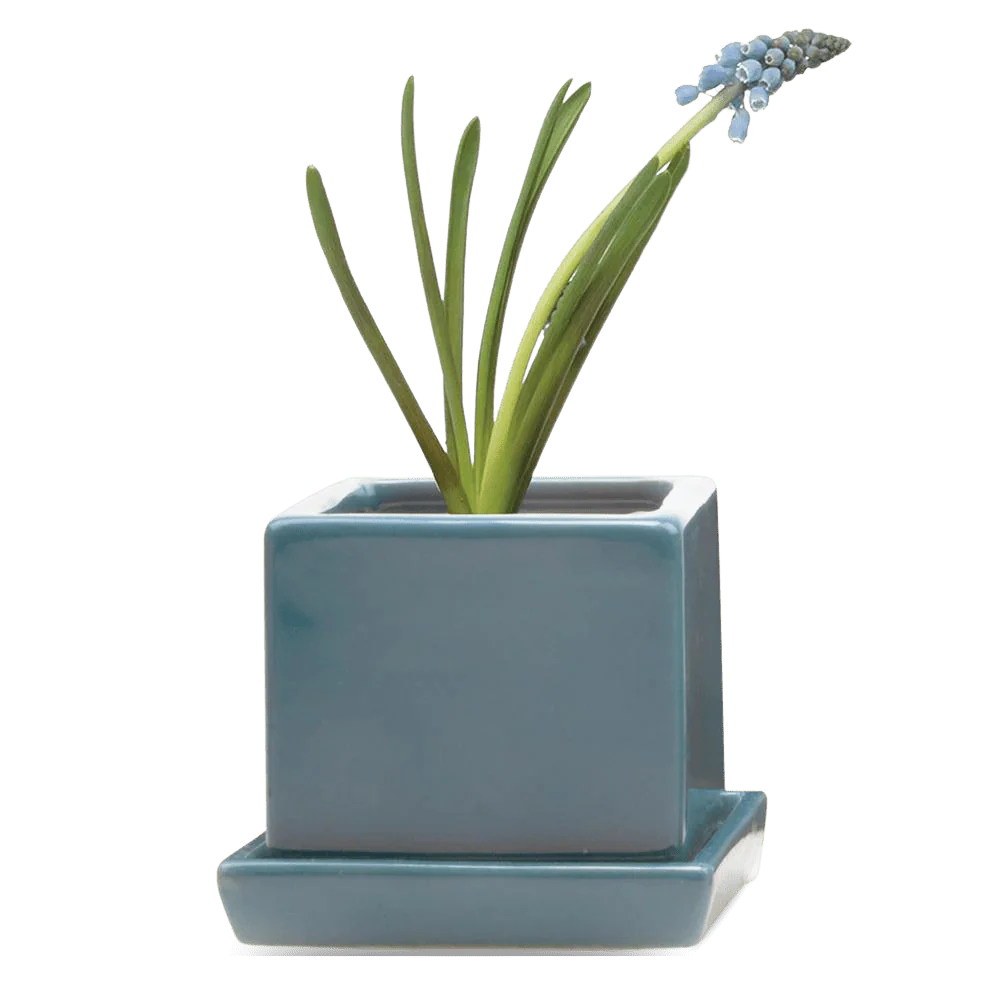 Cube & Saucer Ceramic Pot With Drainage Hole - Image 15