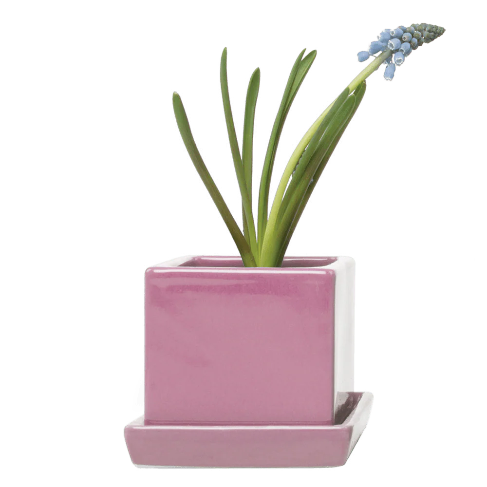 Cube & Saucer Ceramic Pot With Drainage Hole - Image 21