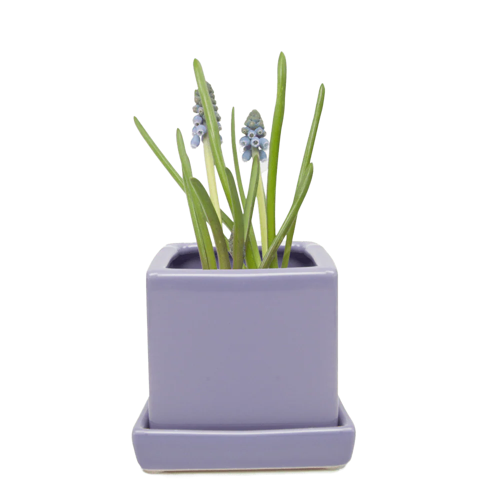 Cube & Saucer Ceramic Pot With Drainage Hole - Image 22