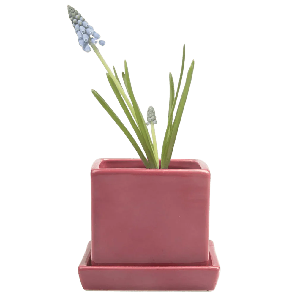 Cube & Saucer Ceramic Pot With Drainage Hole - Image 24
