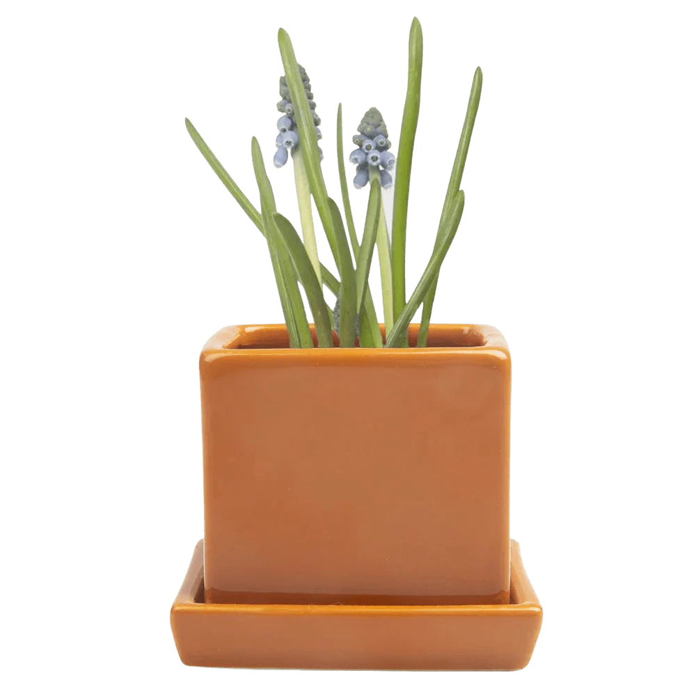 Cube & Saucer Ceramic Pot With Drainage Hole - Image 26
