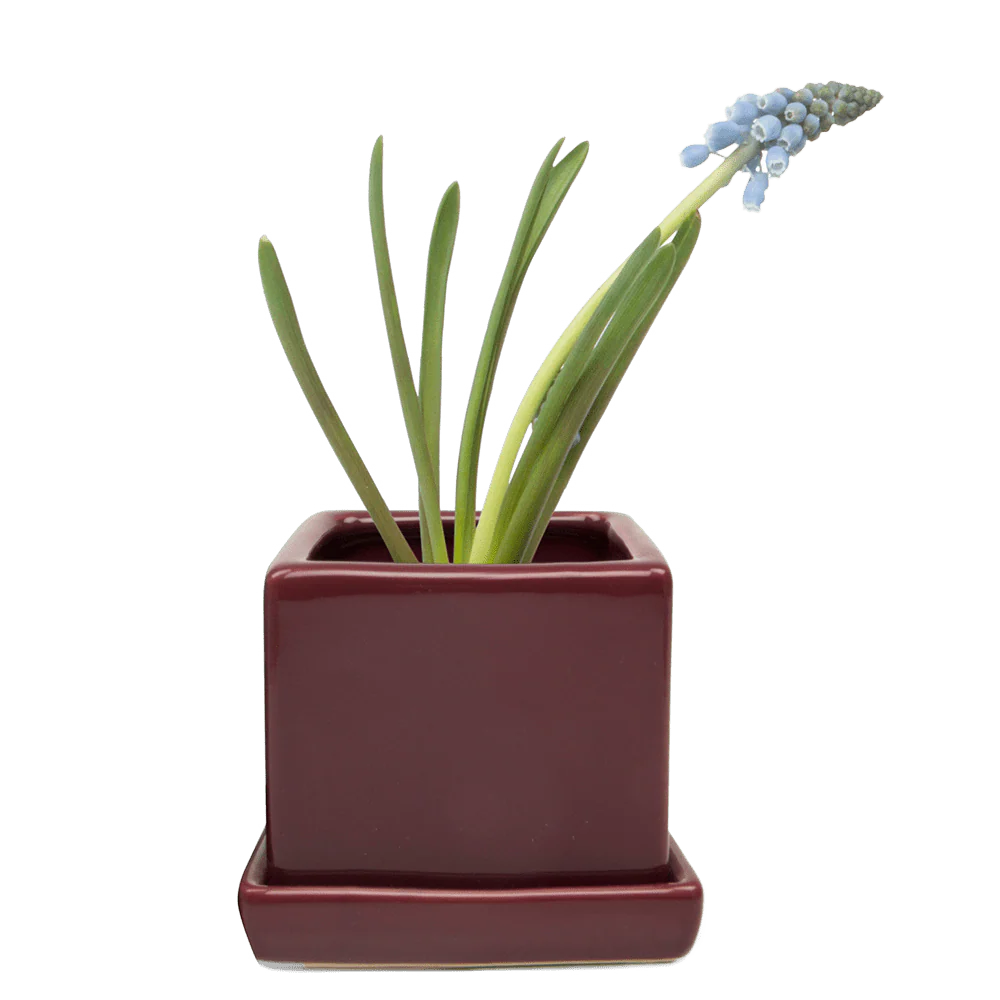 Cube & Saucer Ceramic Pot With Drainage Hole - Image 29