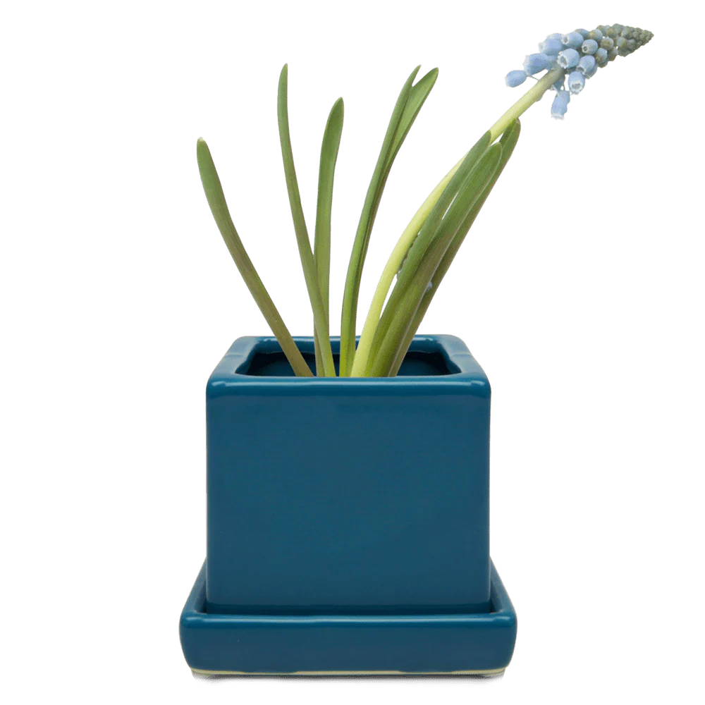 Cube & Saucer Ceramic Pot With Drainage Hole - Image 3