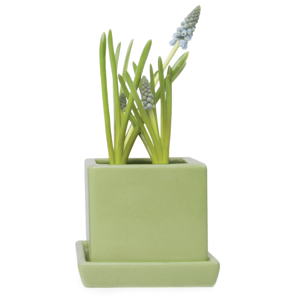 Cube & Saucer Ceramic Pot With Drainage Hole - Image 30