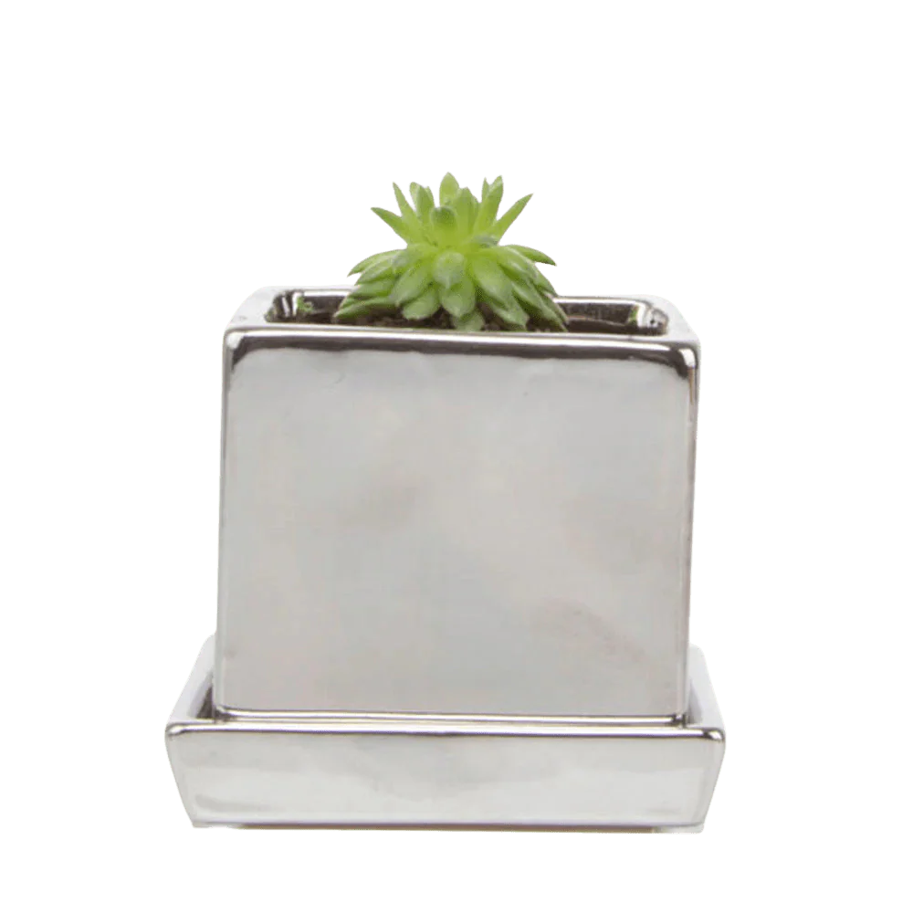 Cube & Saucer Ceramic Pot With Drainage Hole - Image 31