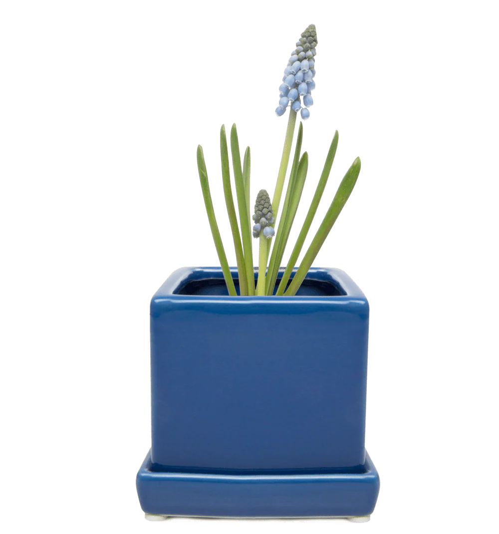 Cube & Saucer Ceramic Pot With Drainage Hole - Image 32