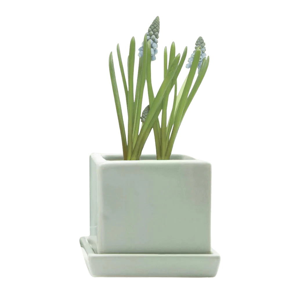 Cube & Saucer Ceramic Pot With Drainage Hole - Image 34