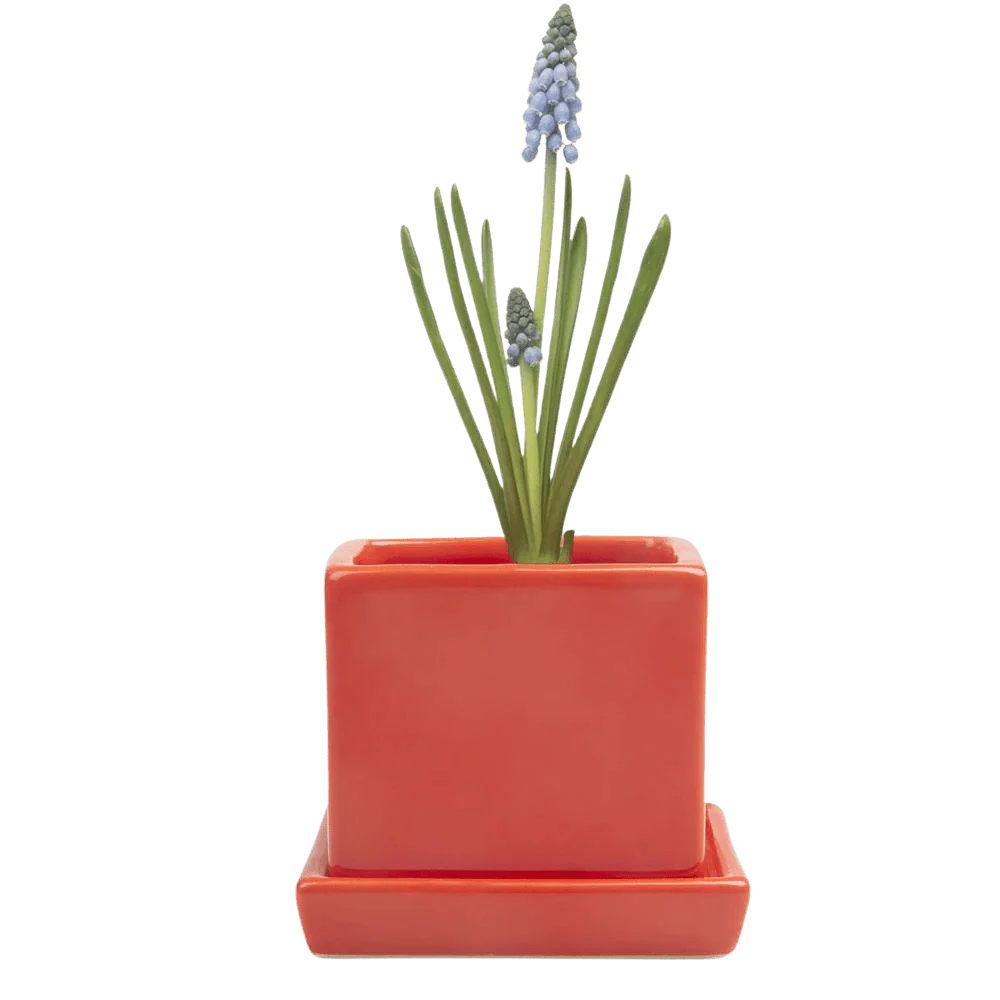 Cube & Saucer Ceramic Pot With Drainage Hole - Image 36