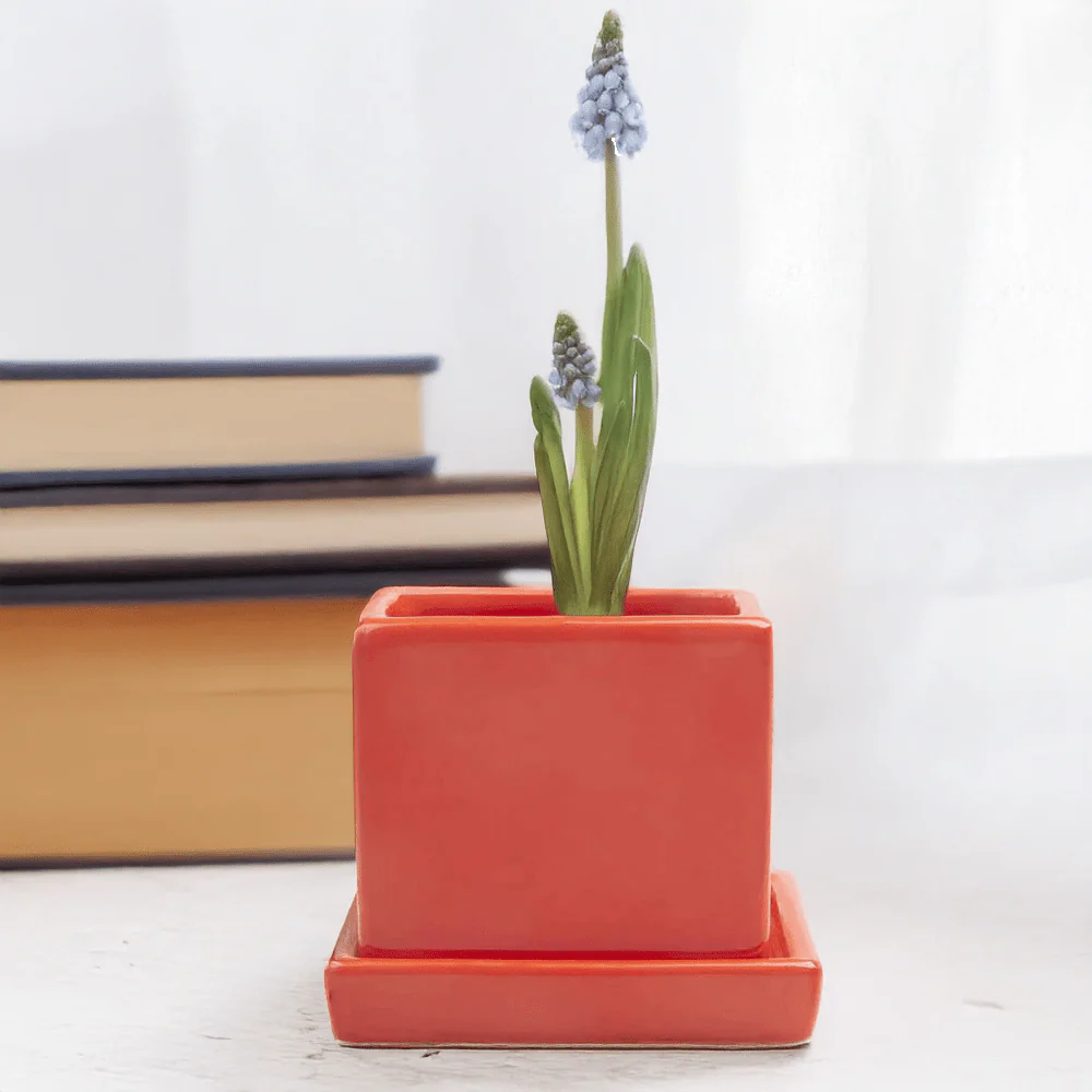 Cube & Saucer Ceramic Pot With Drainage Hole - Image 37