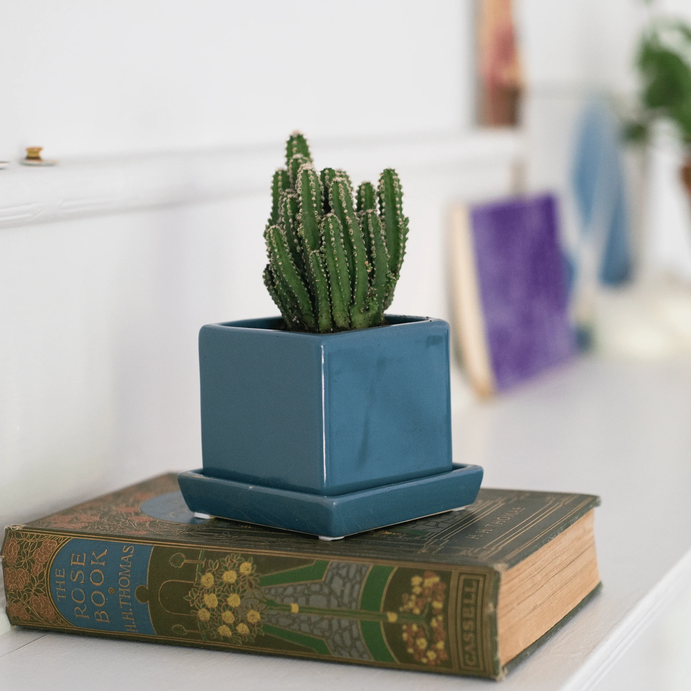 Cube & Saucer Ceramic Pot With Drainage Hole - Image 4