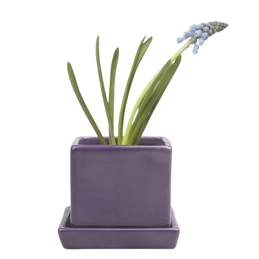 Cube & Saucer Ceramic Pot With Drainage Hole - Image 41