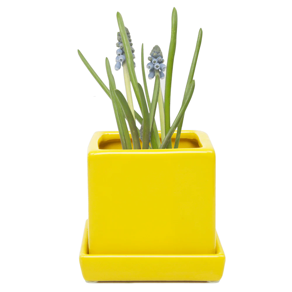 Cube & Saucer Ceramic Pot With Drainage Hole - Image 43