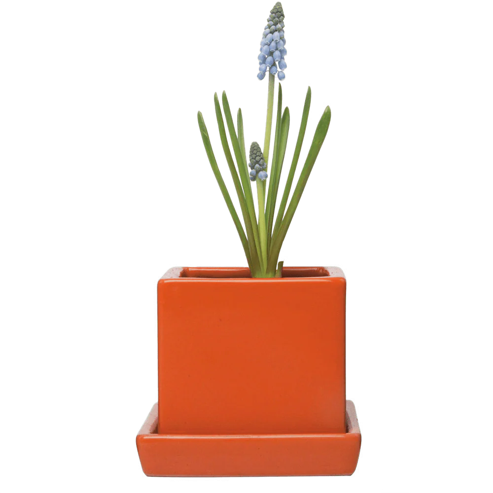Cube & Saucer Ceramic Pot With Drainage Hole - Image 44