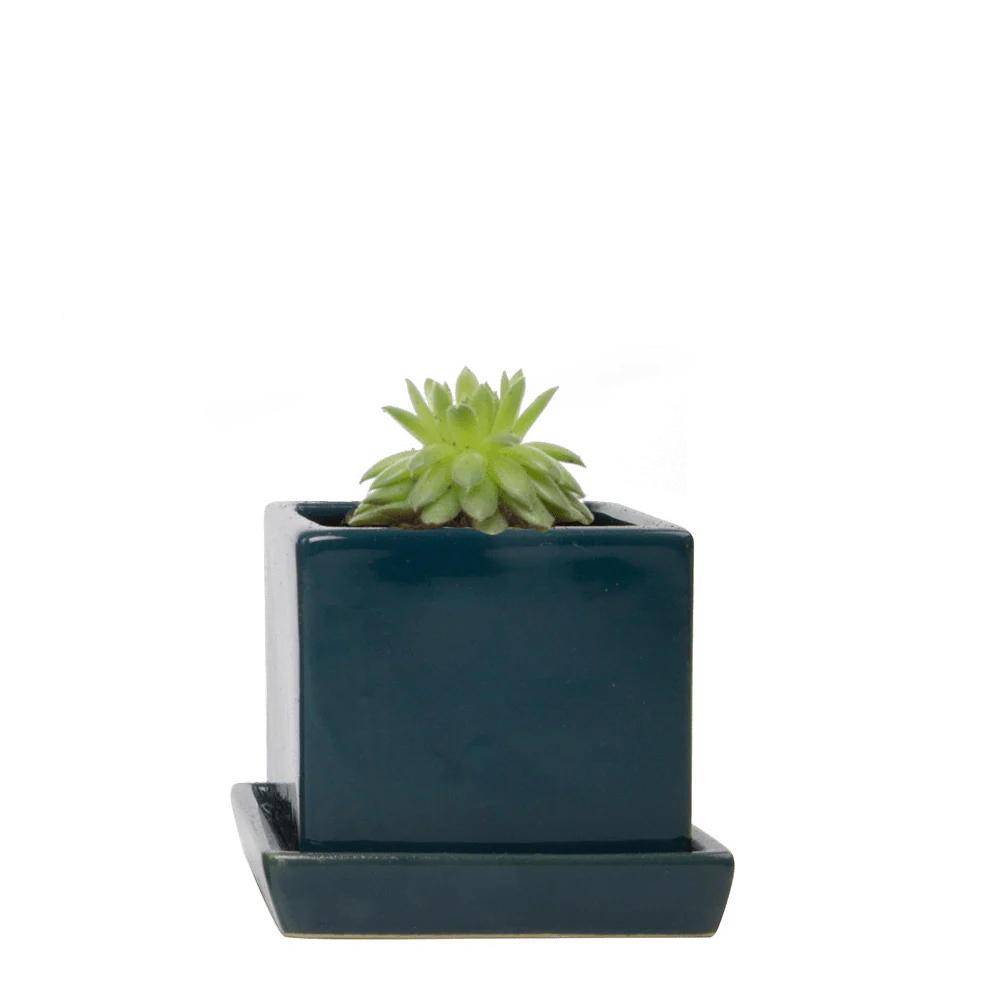 Cube & Saucer Ceramic Pot With Drainage Hole - Image 6