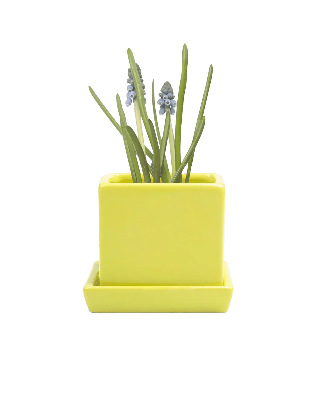 Cube & Saucer Ceramic Pot With Drainage Hole - Image 9