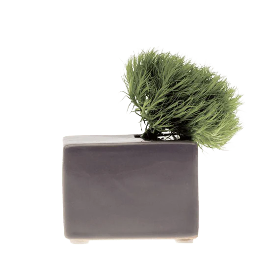 Cube Ceramic Flower Vase - Image 8
