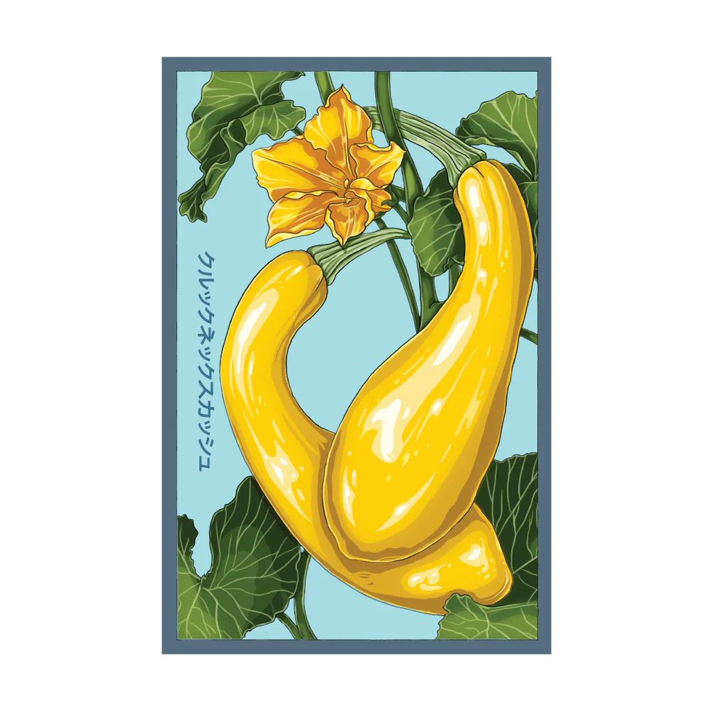 Early Golden Crookneck Squash Vegetable Seeds Packet