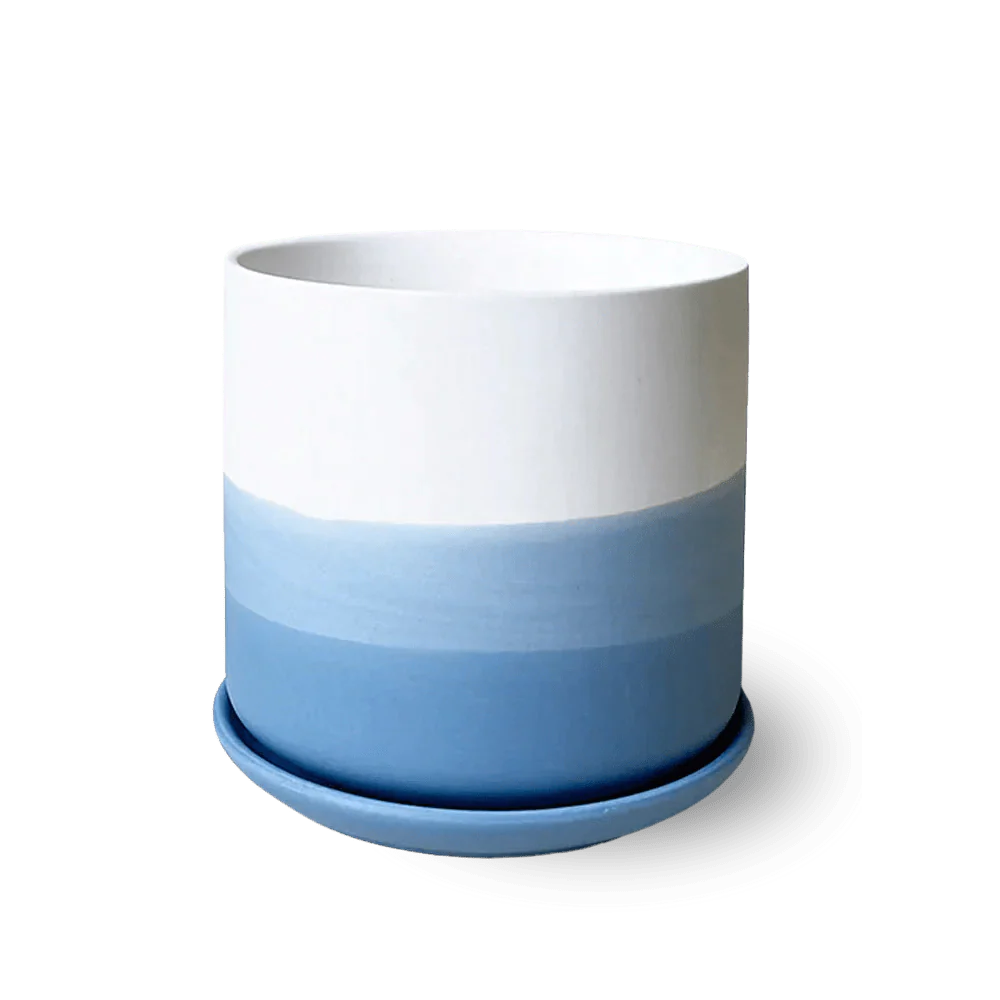 Devo Porcelain Planter With Drainage Hole And Saucer - Image 3