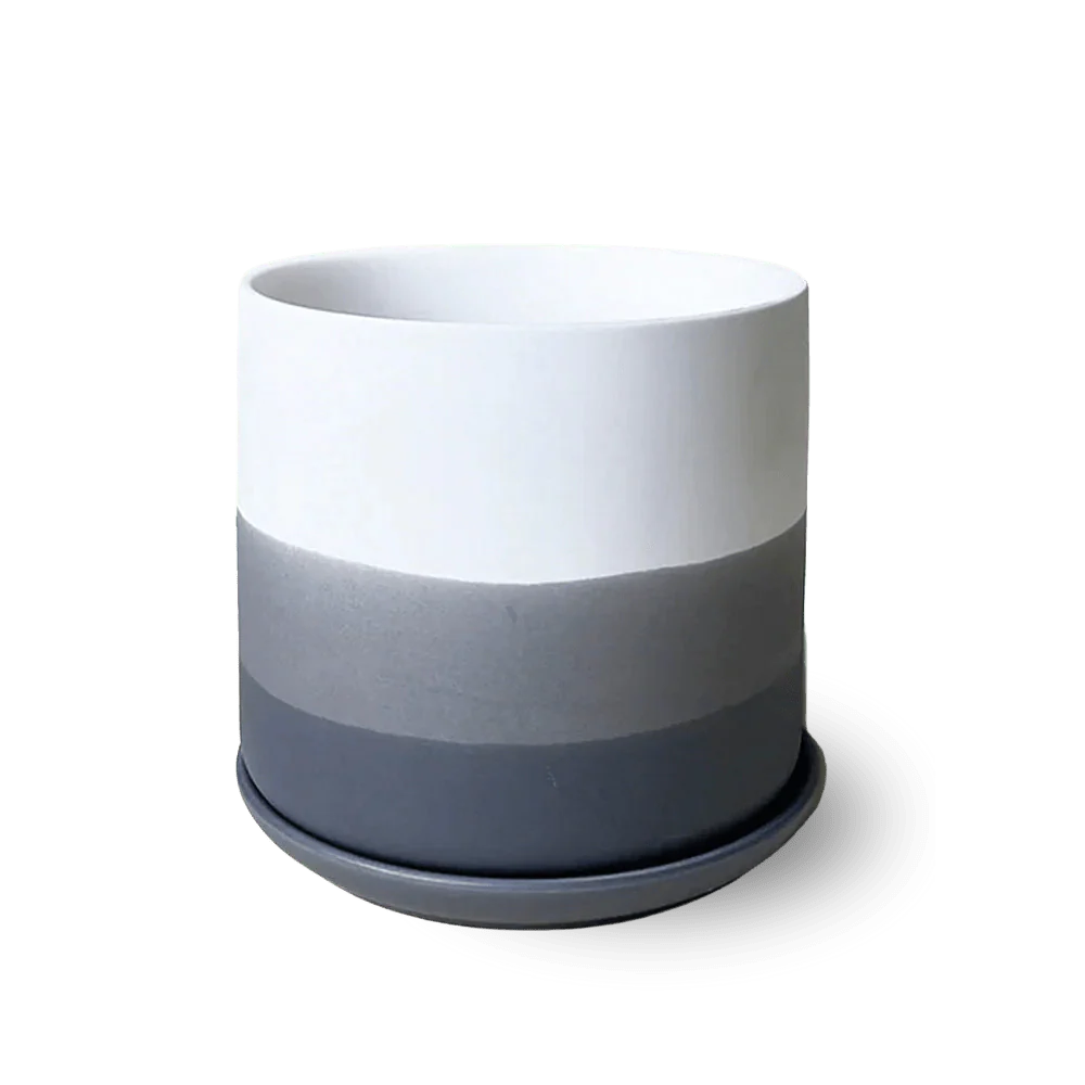 Devo Porcelain Planter With Drainage Hole And Saucer - Image 4