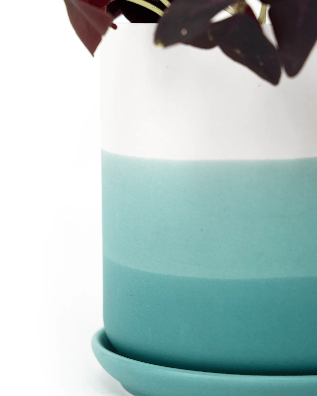Devo Porcelain Planter With Drainage Hole And Saucer - Image 6
