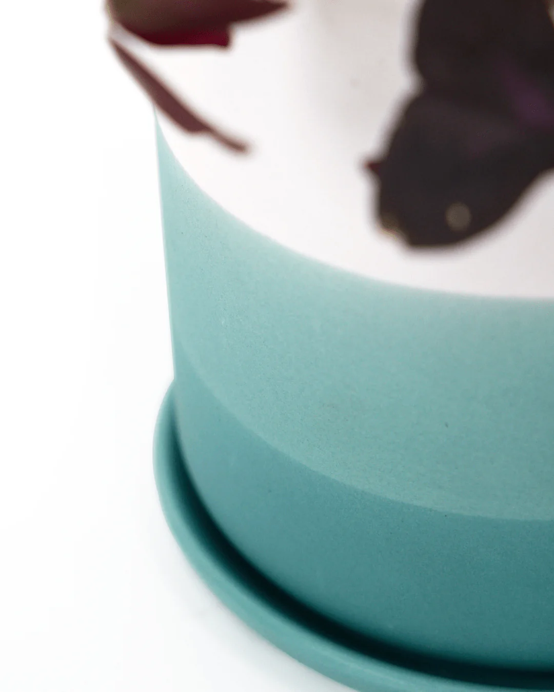 Devo Porcelain Planter With Drainage Hole And Saucer - Image 7