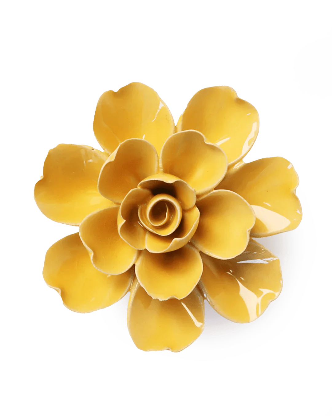 Burnt Yellow Tahitian Gardenia