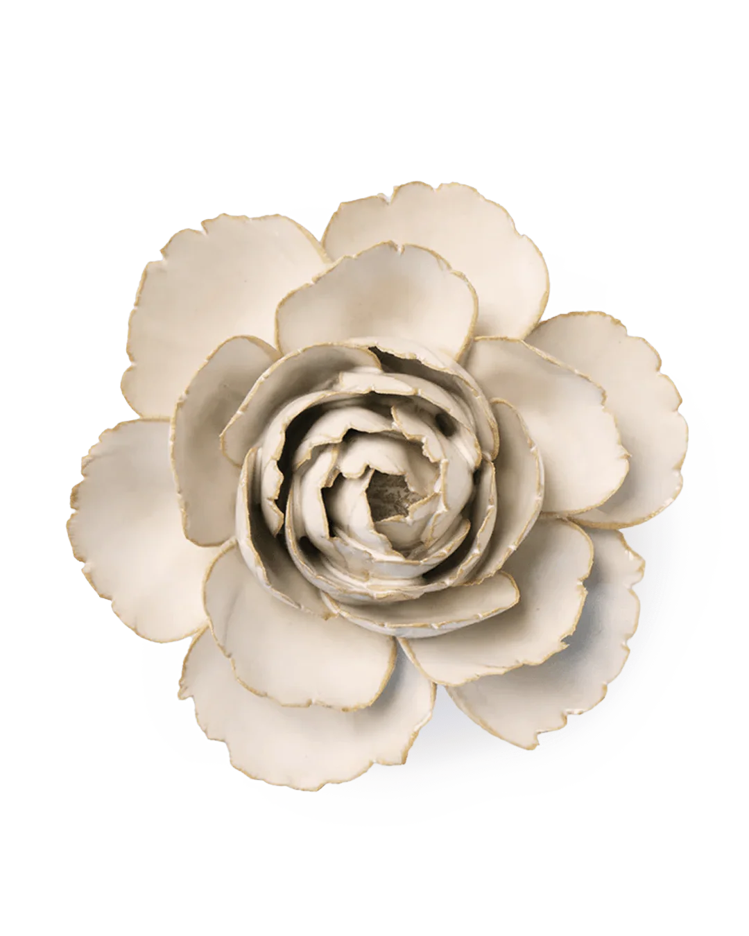 Ivory English Rose